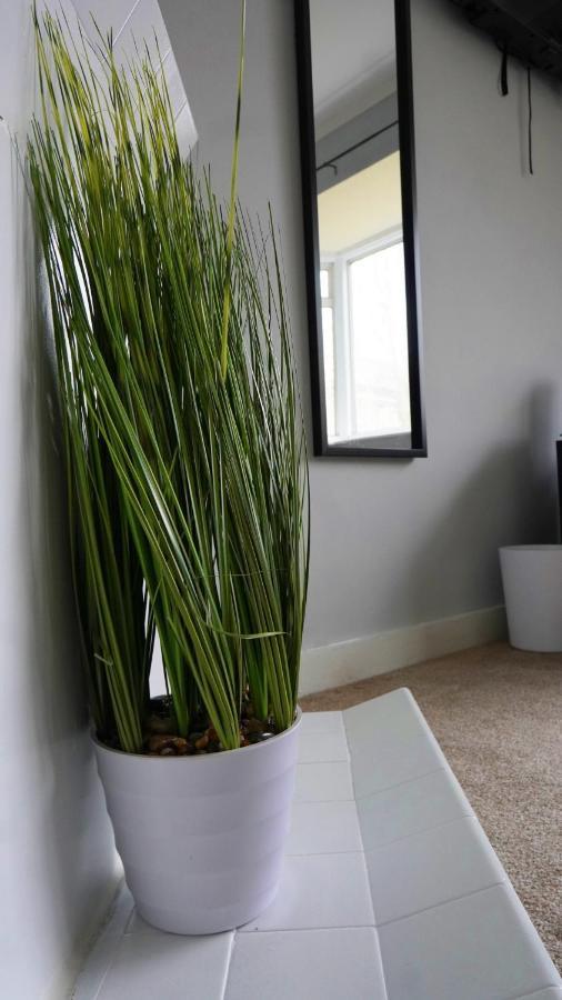 Portobello House - Four Bedroom House Perfect For Contractors - Sleeps 6 - Free Parking Wolverhampton Kültér fotó